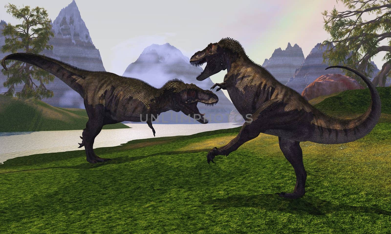 A major fight breaks out between two competing Tyrannosaurus Rex dinosaurs.