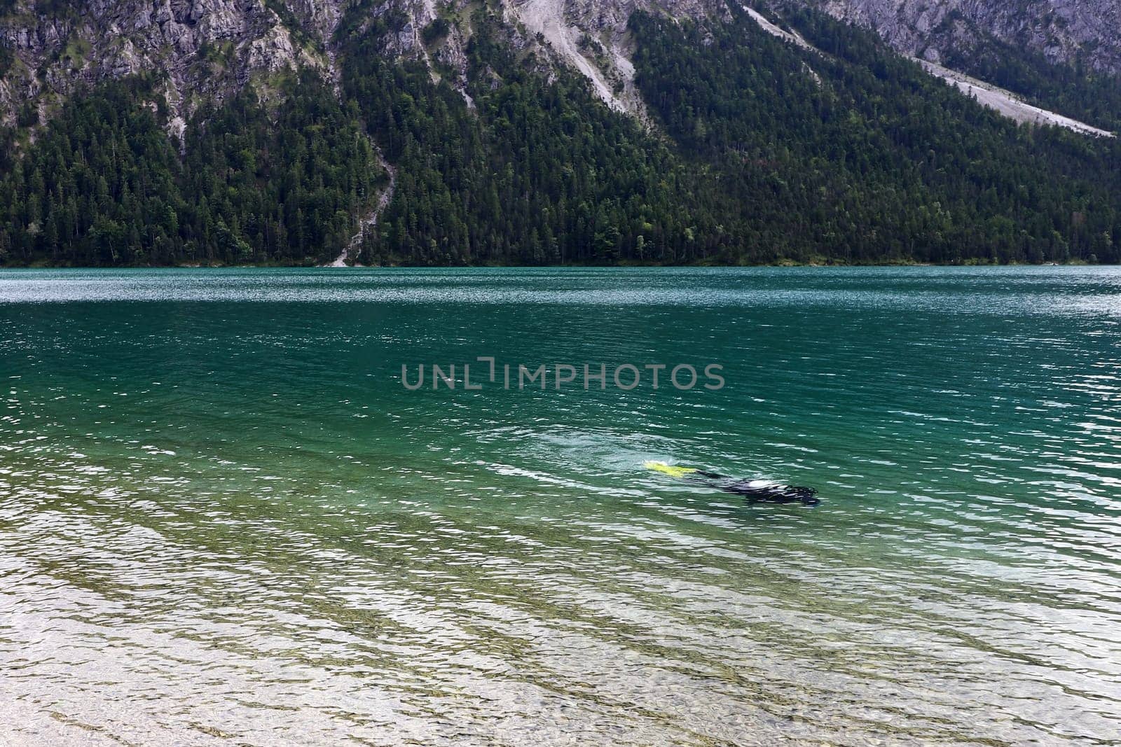 A diver in the Plansee in Austria. A diver in the turquoise-blue water of the Plansee