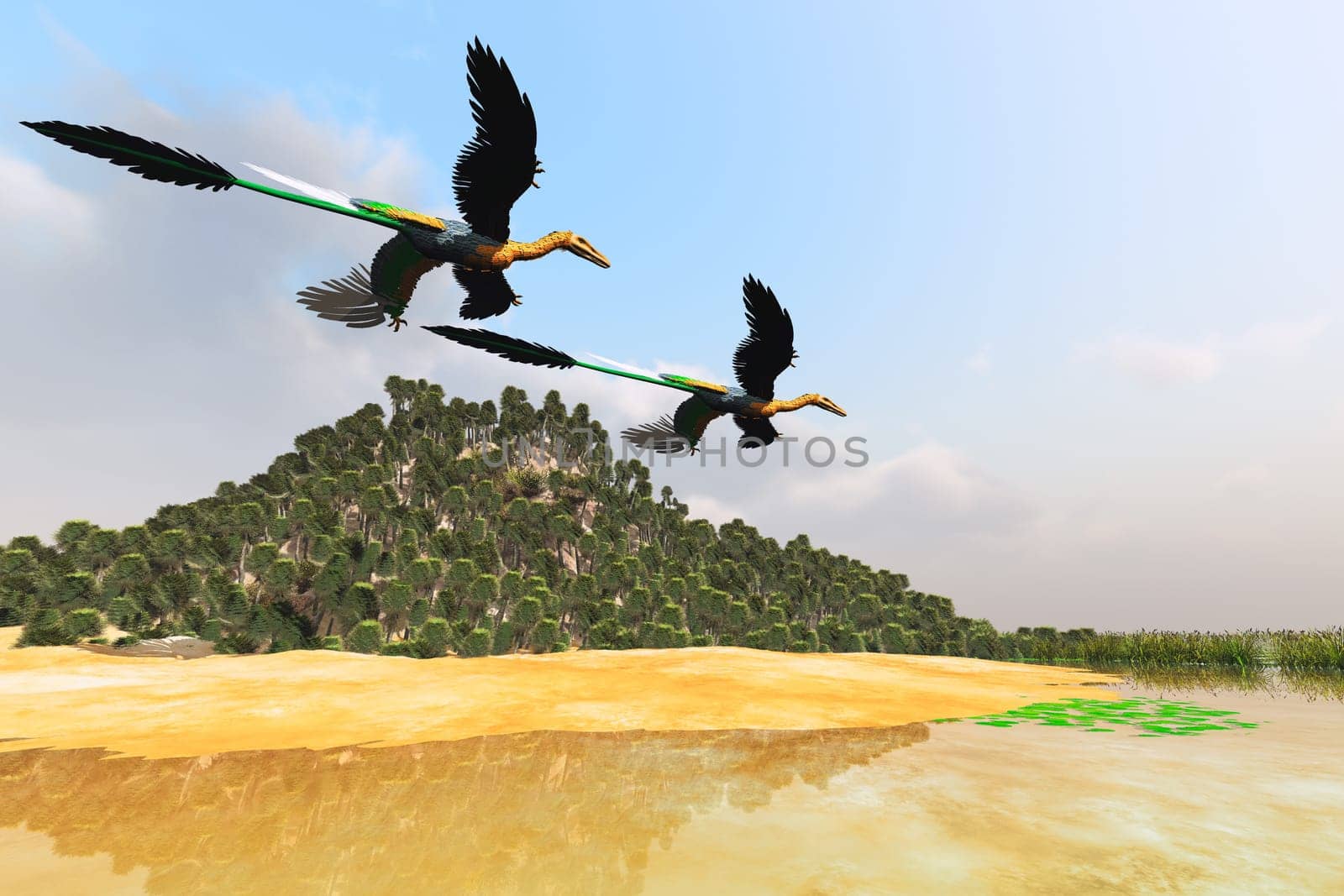 Two Microraptors fly over a marsh pond looking for prey to eat.