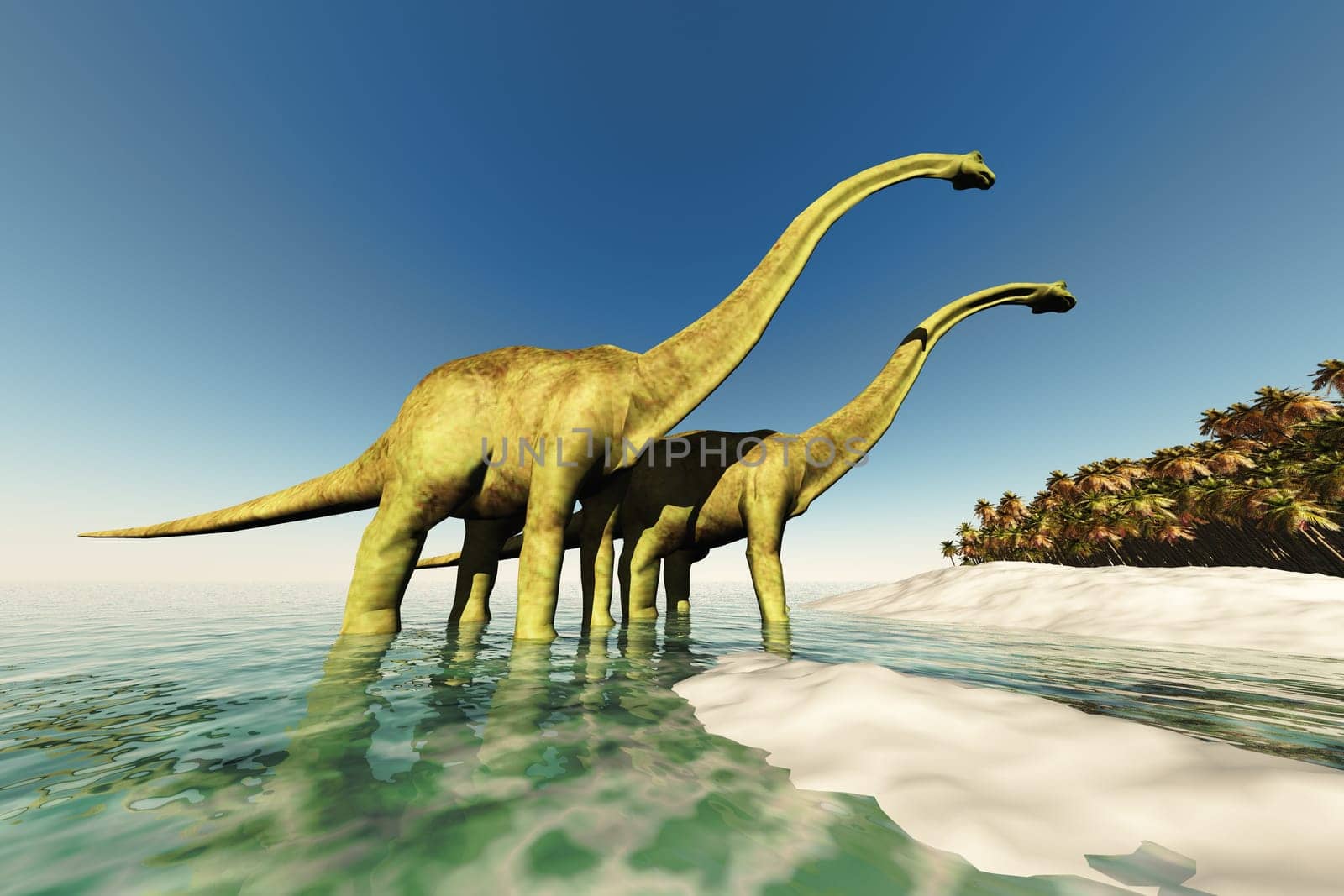 Two Diplodocus dinosaurs wade through shallow water to get to trees on an off coast island.