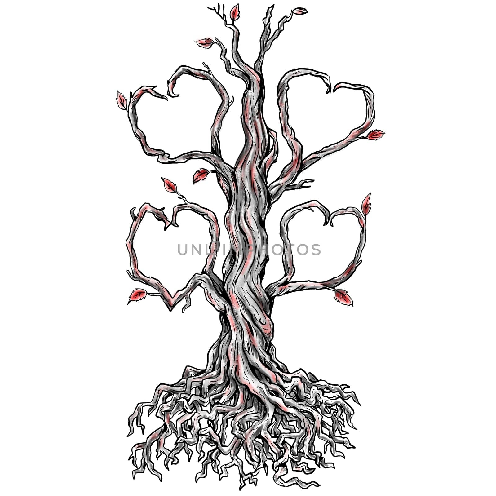 Tattoo style illustration of a Twisted Oak Tree without leaves and Branch forming into Heart and roots done in hand sketch drawing Tattoo..