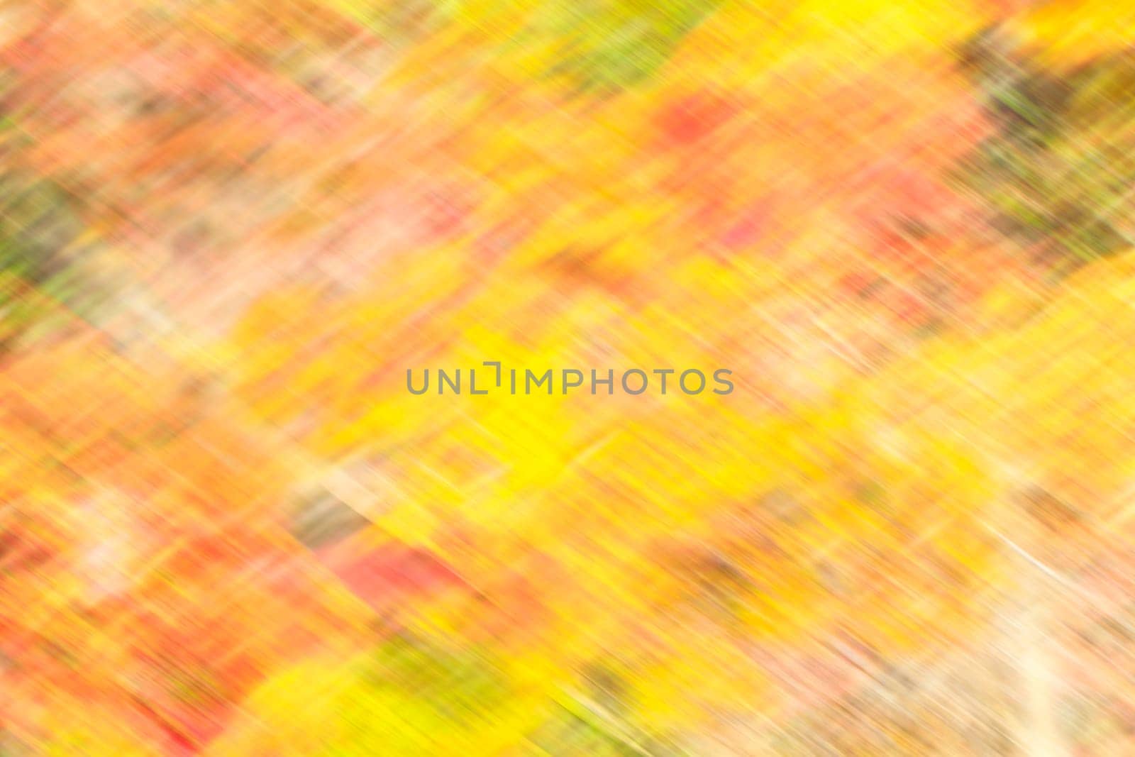 The easy picture beautiful maple autumn landscape background