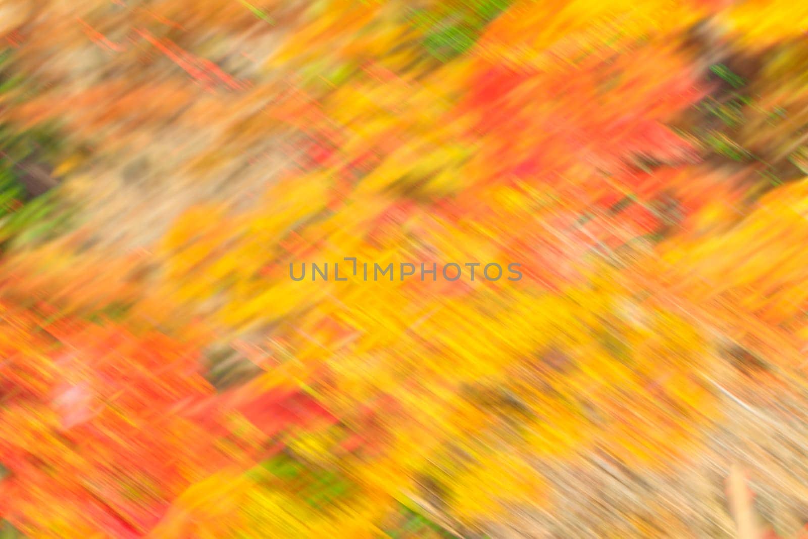 The easy picture beautiful maple autumn landscape background