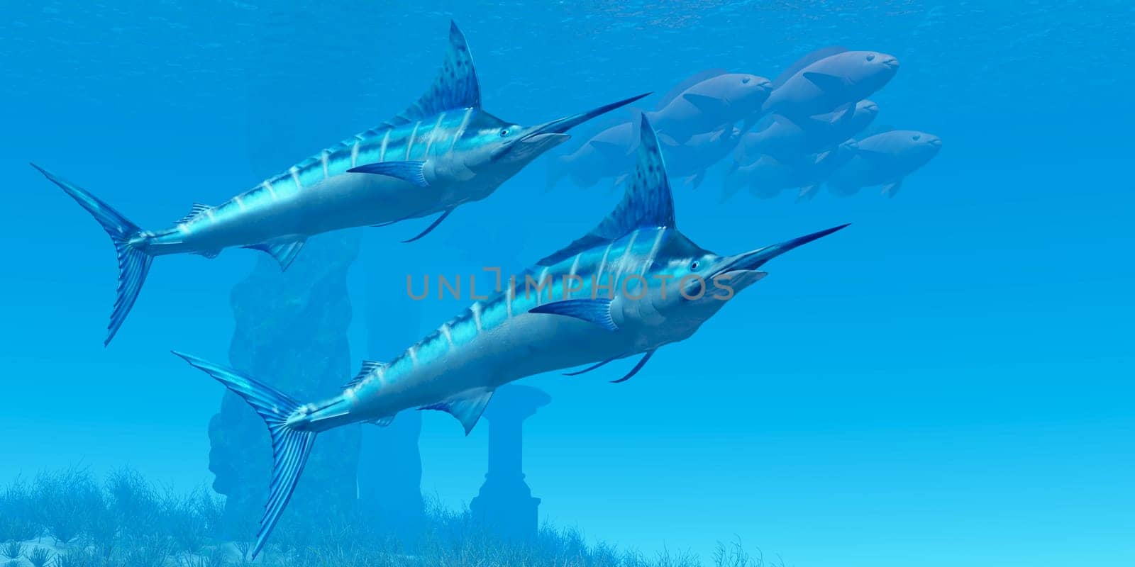 Two Marlin swim together past some underwater ruins  to find their favorite prey.