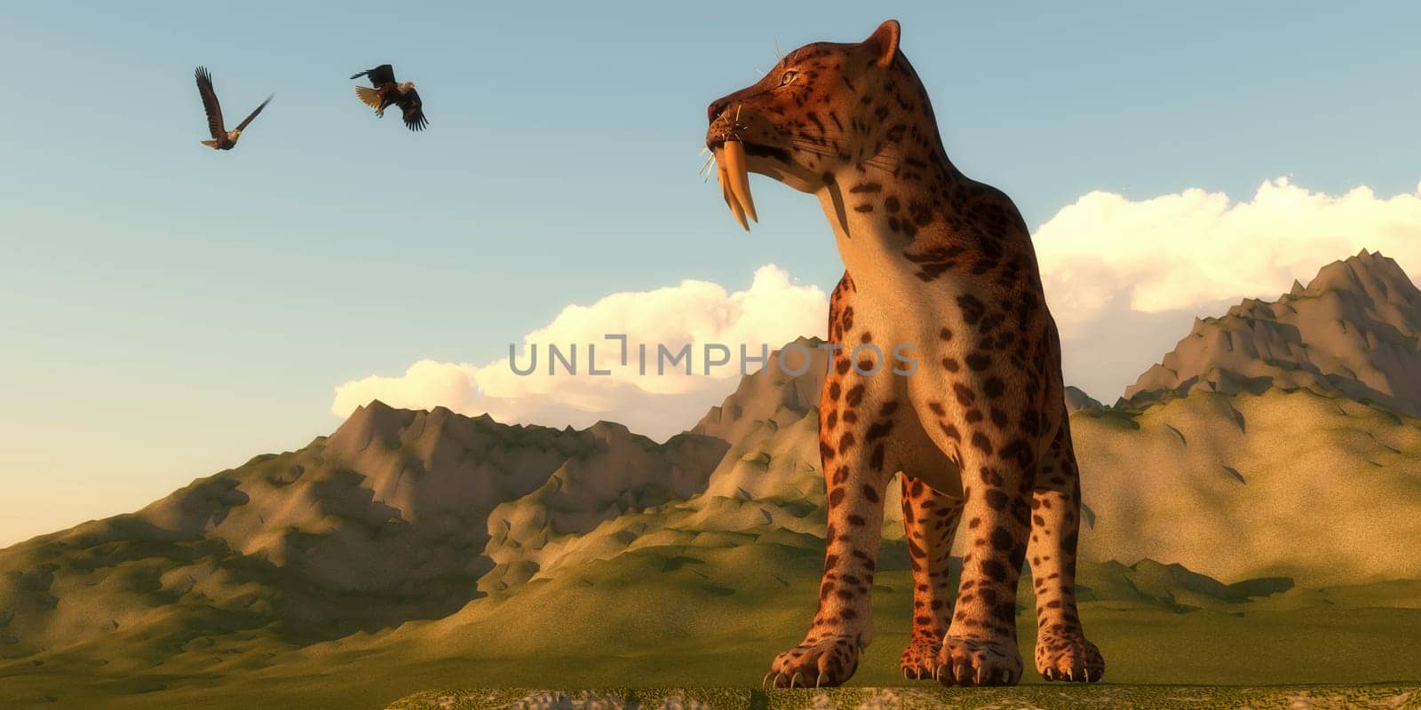 The Saber-Toothed was a carnivorous cat that lived in the Pleistocene and Eocene periods of the Americas.