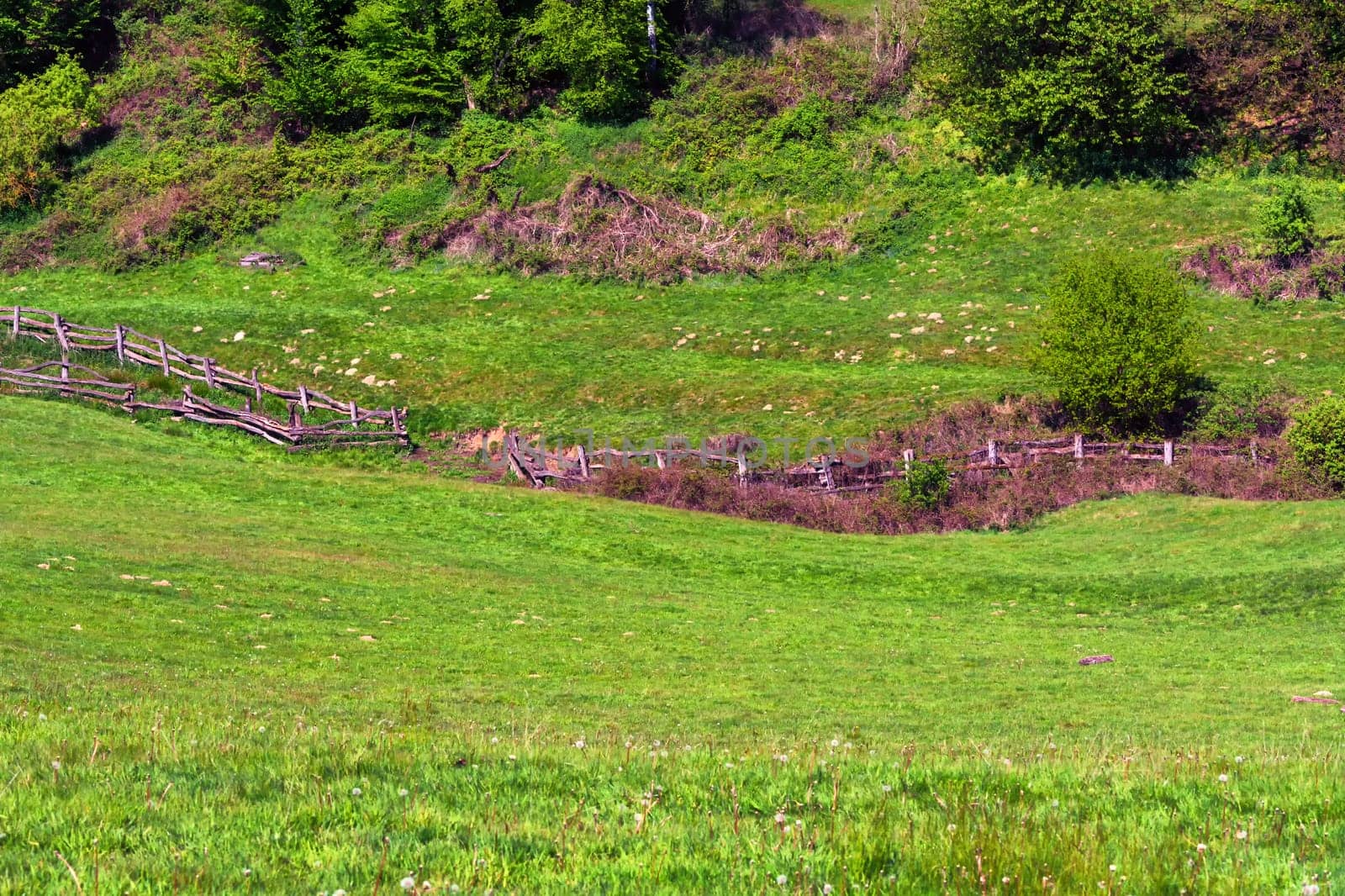 Panorama of a typical alpine meadow with wooden fence..