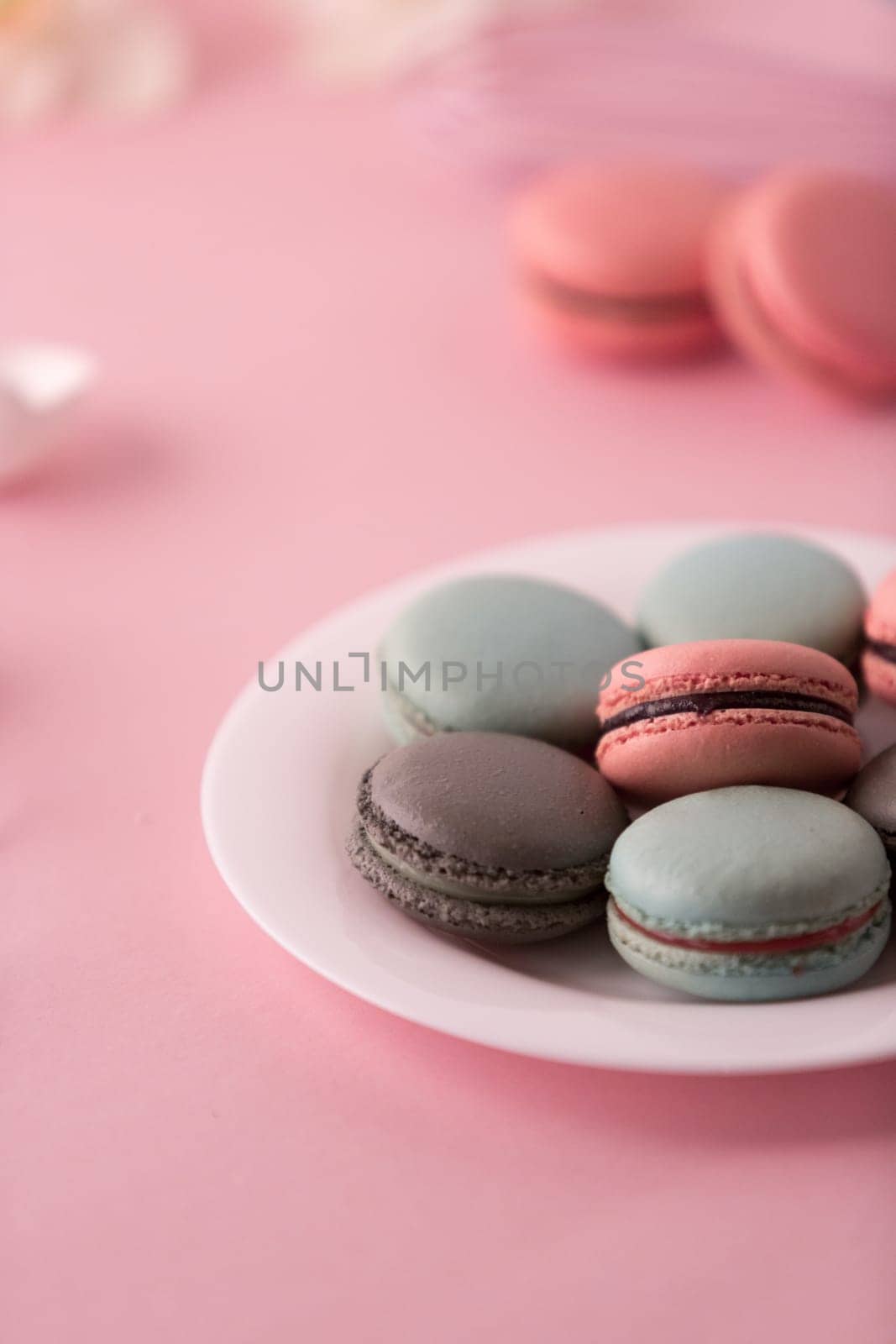 The cookies with cream on pink background