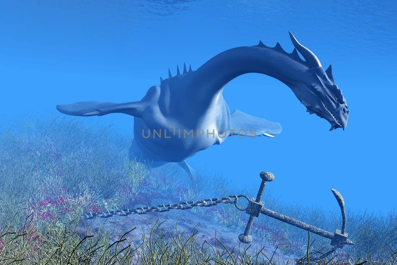 A Sea Dragon swims over an abandoned ship anchor to check it out.