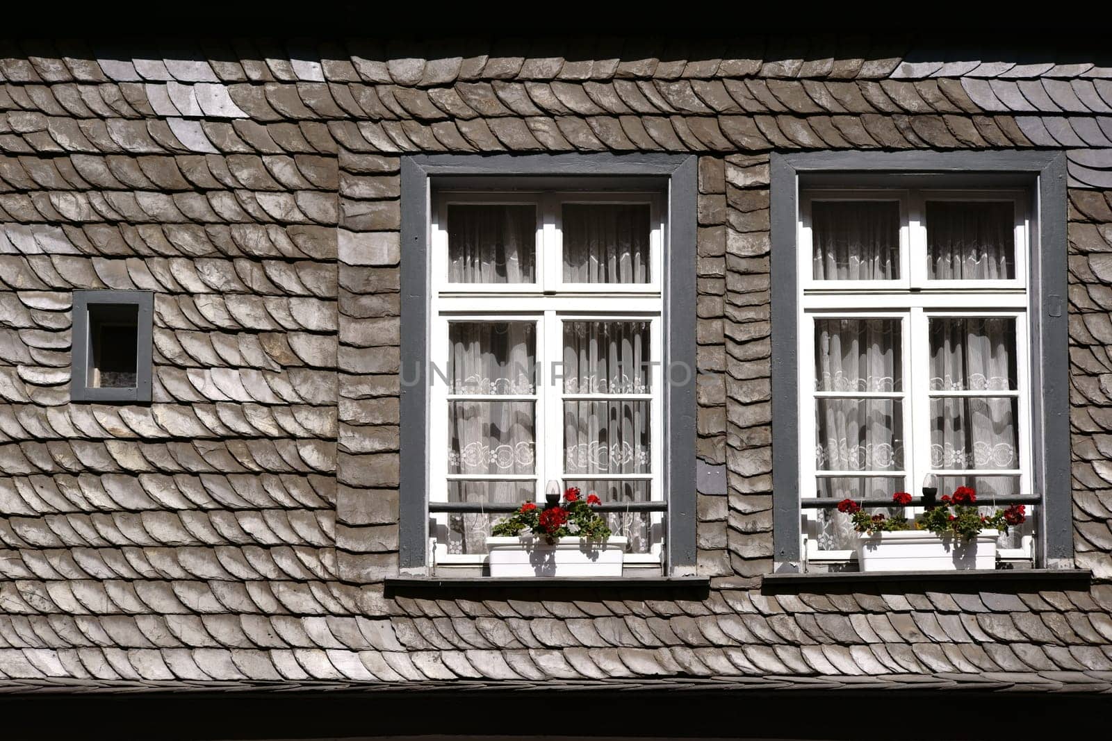 A shingle roof with two skylights and flower boxes.