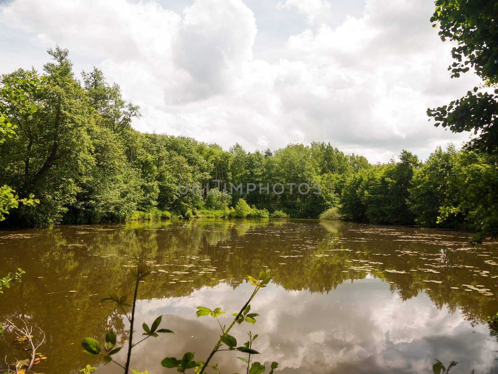water pool outside in forest opening surface and sky clouds trees  England  UK
