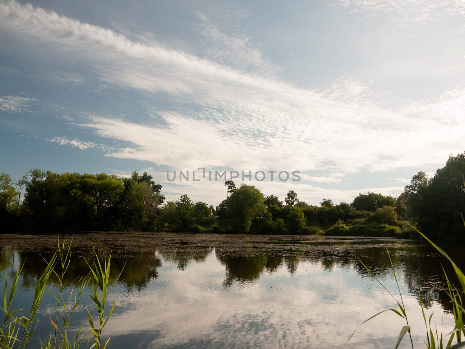 beautiful summer lake scene outside trees clouds reflected in water  England  UK