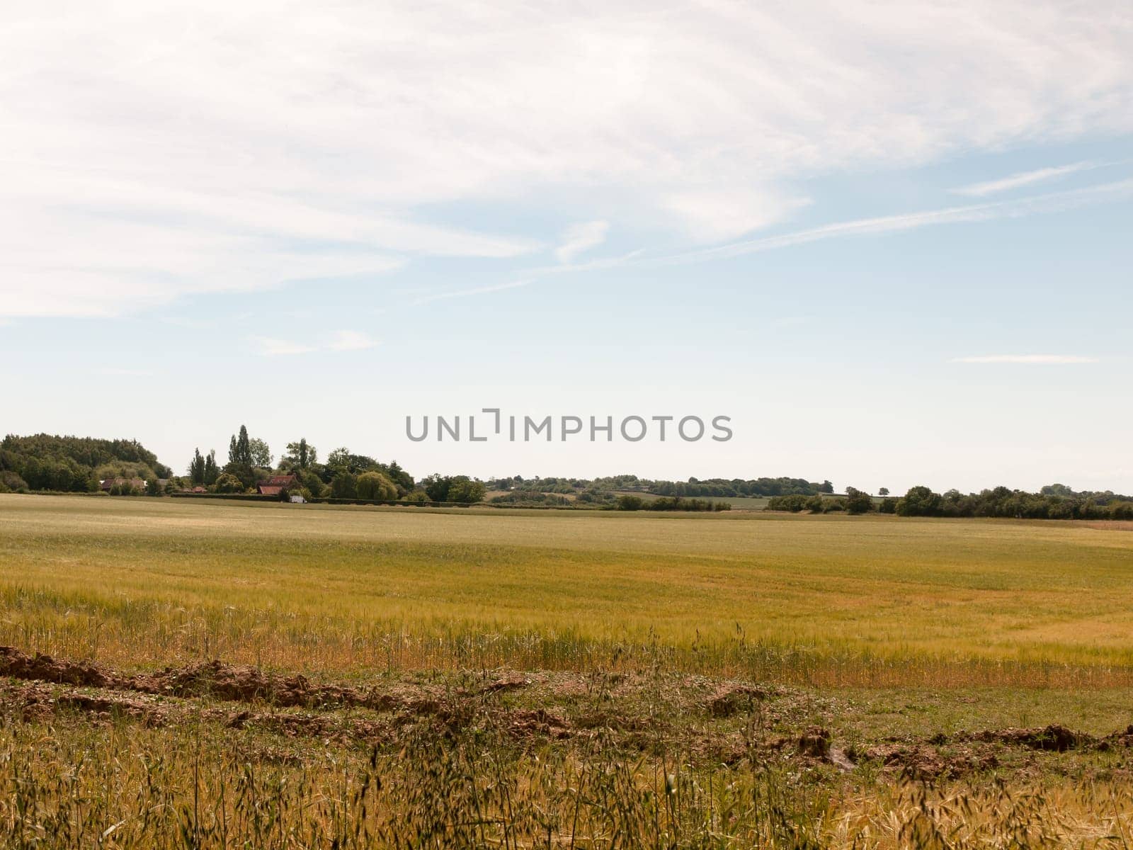 glorious farm field grass land outside summer's day  England  UK