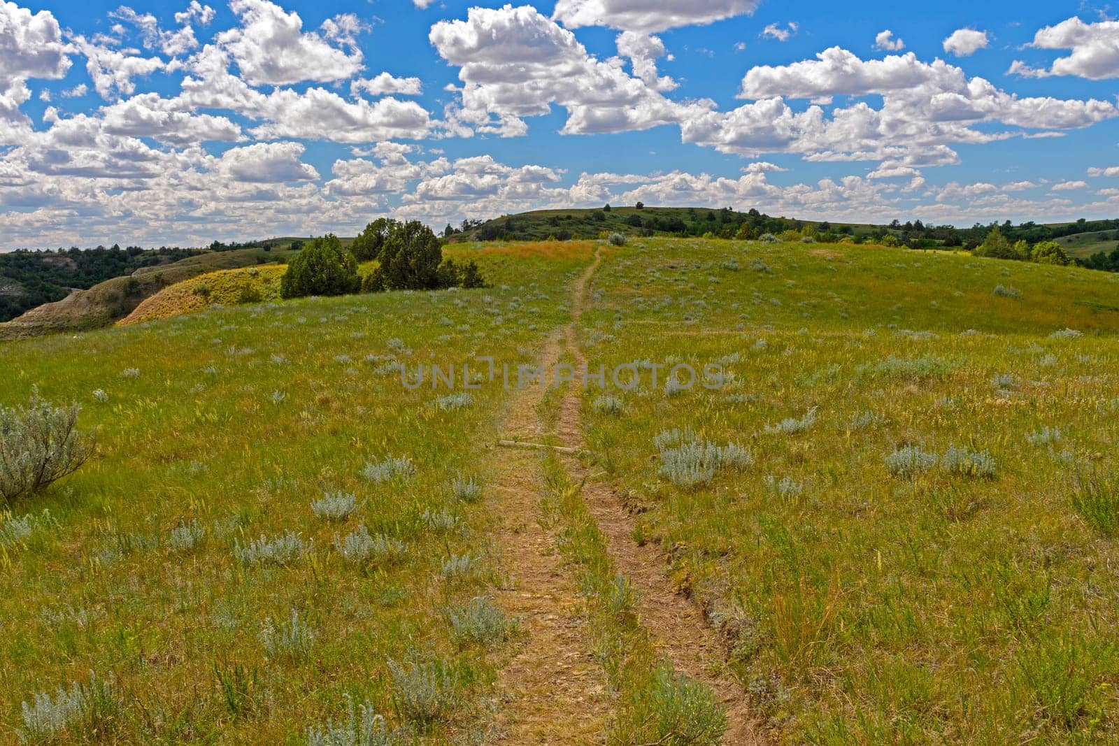 Old Trail Across the Rolling Plains in Theodore Roosevelt National Park in North Dakota