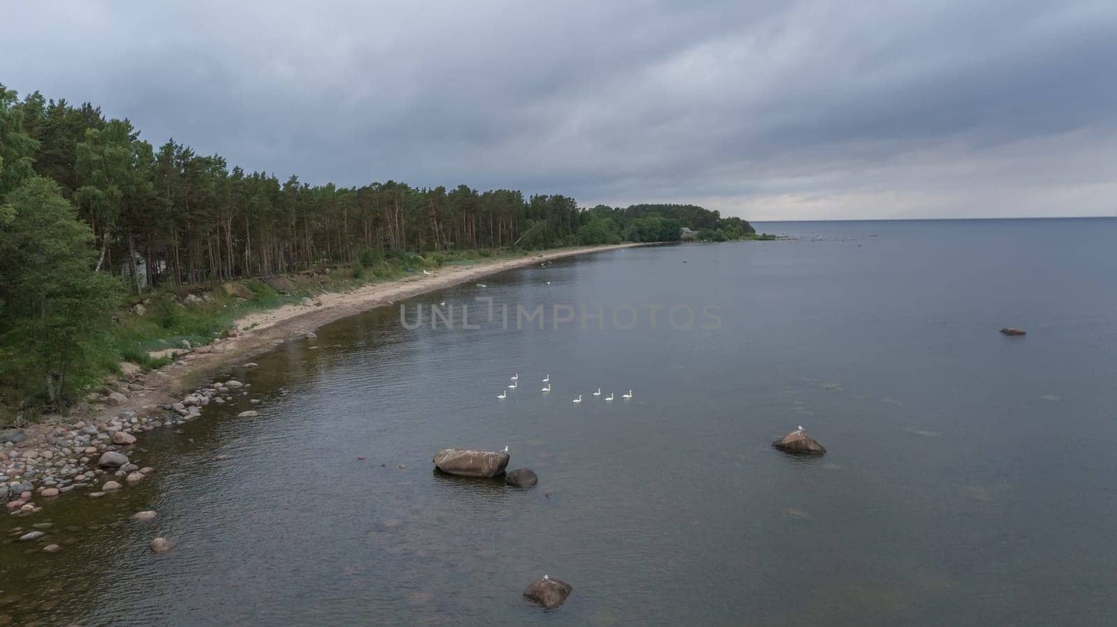 Roja Latvia Baltic Sea Seaside Aerial drone top view