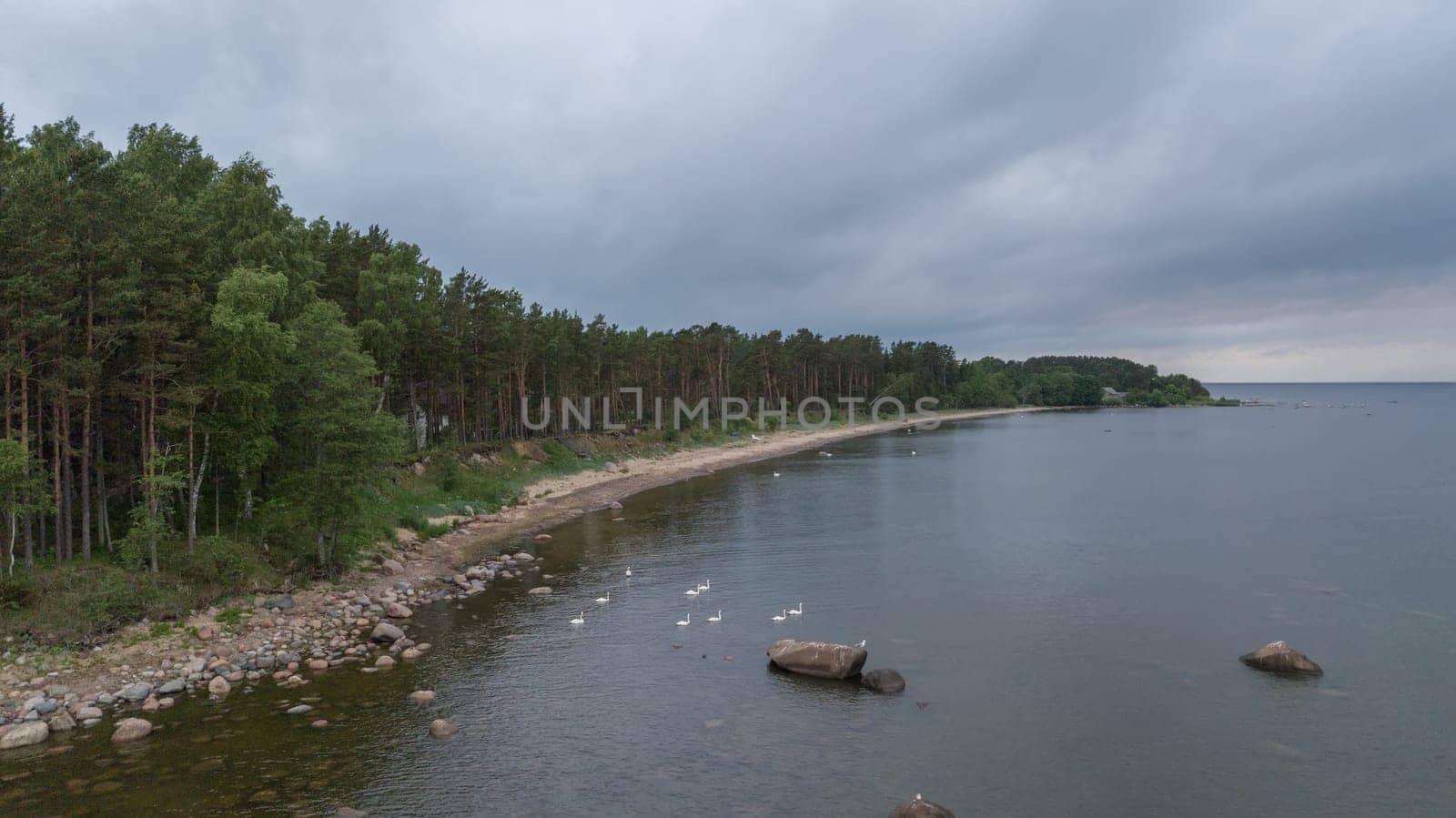 Roja Latvia Baltic Sea Seaside Aerial drone top view