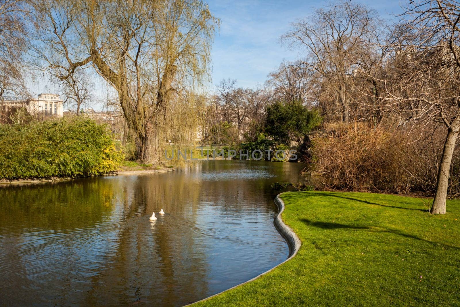 Green park with cypresses,plants and reeds in summer