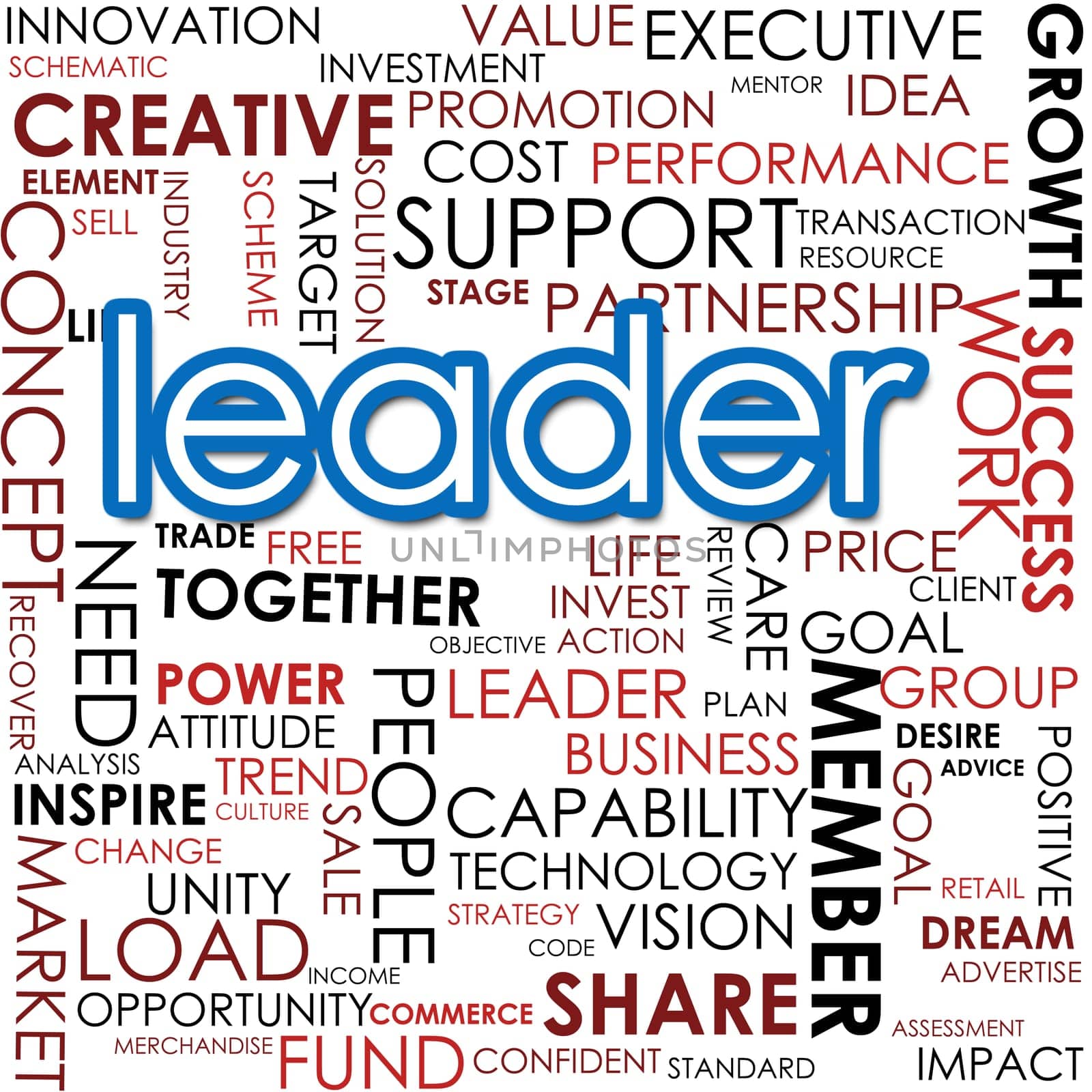 Leader word cloud