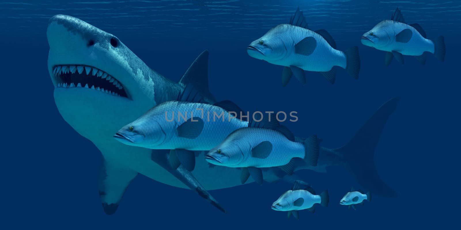 A school of ocean fish encounter a monstrous Megalodon shark in prehistoric times.