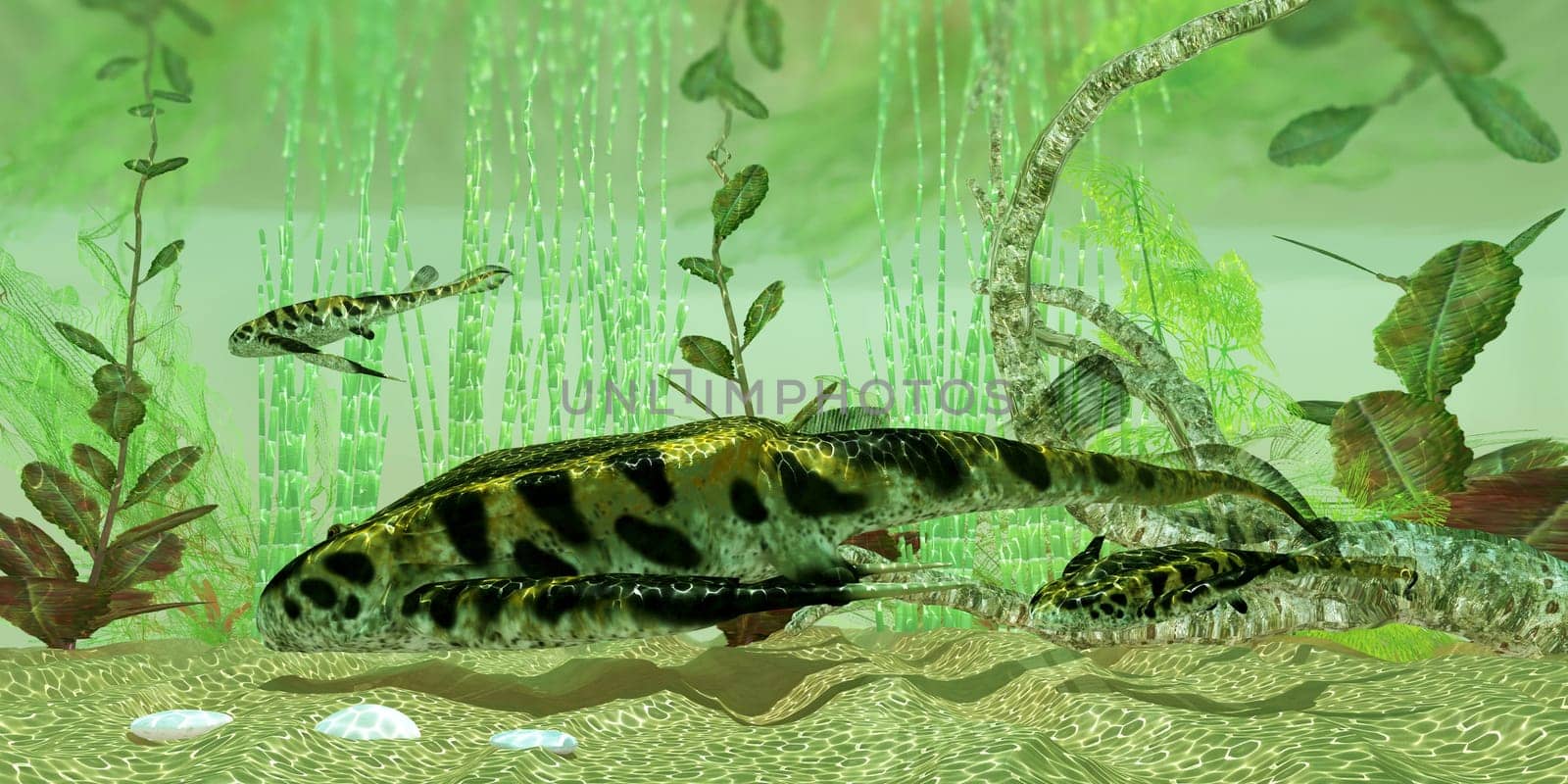 Bothriolepis was a freshwater bottom feeder found in rivers and lakes in the Devonian Period.