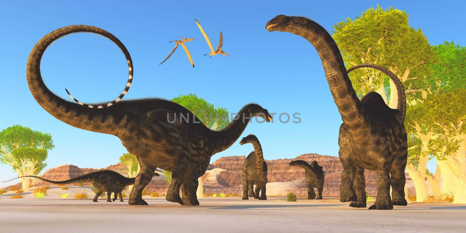 Two Pterosaurs fly over a herd of Apatosaurus dinosaurs as they wonder through a prehistoric forest.