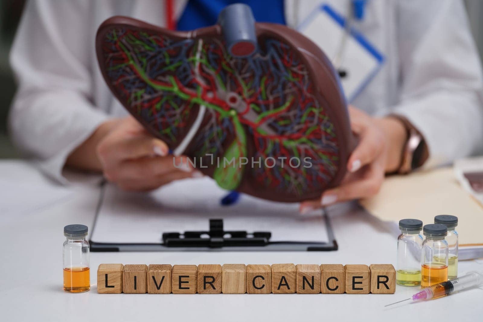 A skilled medical professional discusses liver cancer using a detailed model and samples in a clinical setting