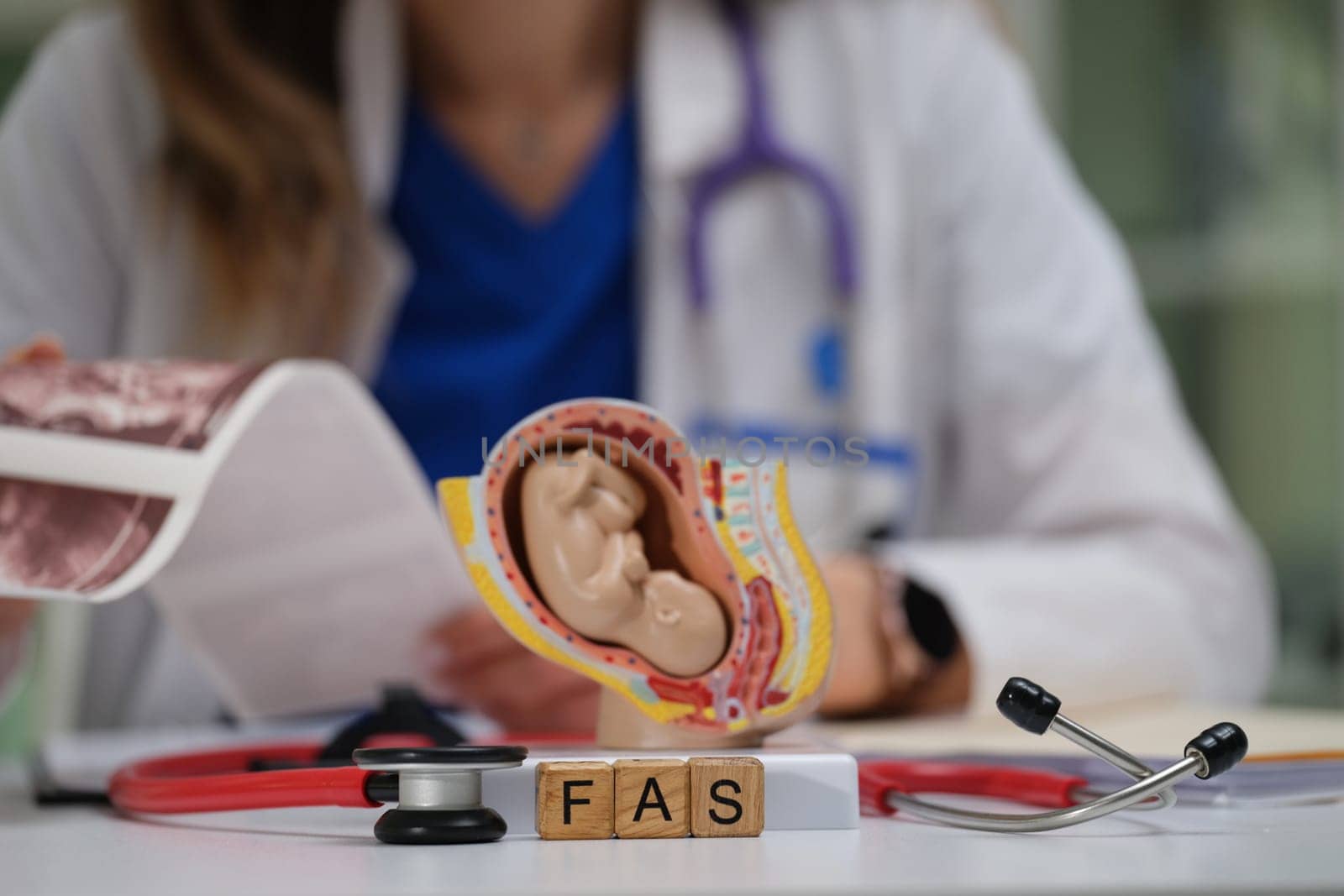 A skilled healthcare professional carefully examines a detailed ear anatomy model using various medical tools
