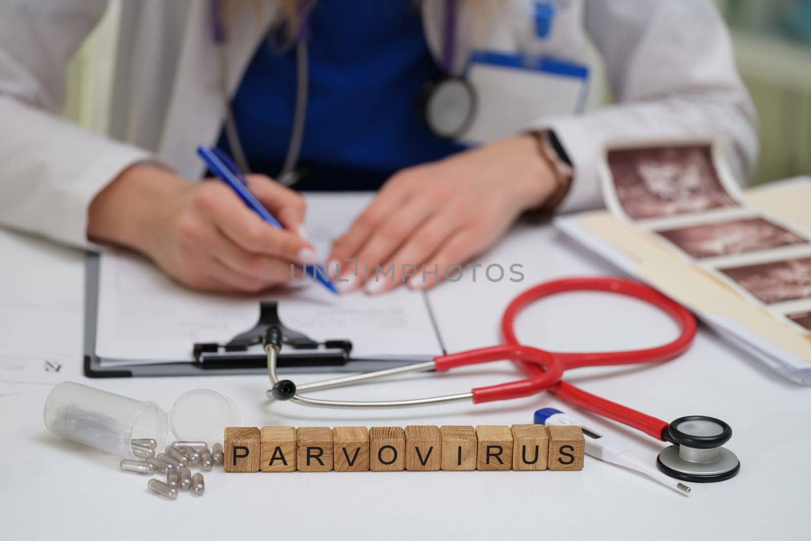 A qualified physician carefully documents detailed information regarding parvovirus in a clinical healthcare setting