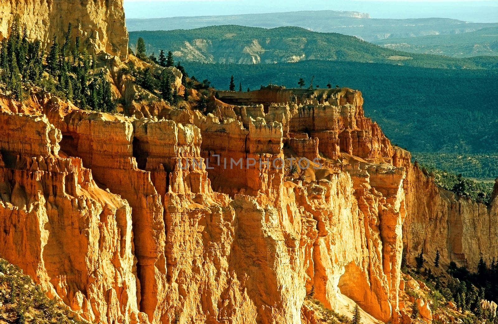 Bryce Canyon with forest  in Utah