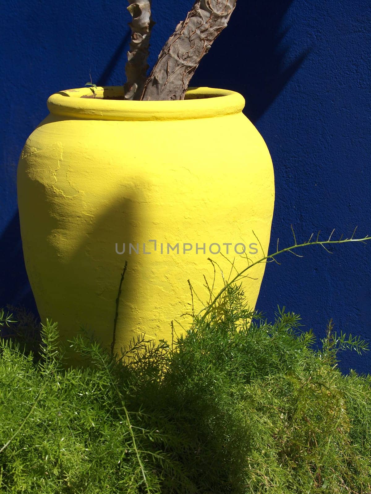 yellow clay pot in the garden