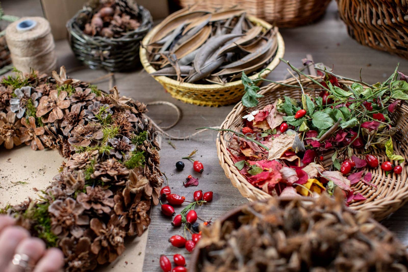 Explore a wide range of vibrant and beautiful natural materials that are perfect for crafting and decoration projects