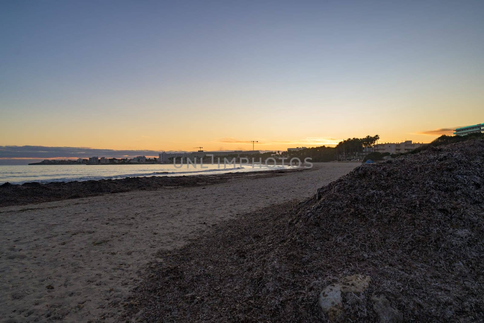 Scenic sunset over the rocky coastline in Mallorca, Spain. The golden light reflects on the calm sea, with buildings and palm trees silhouetted in the background.