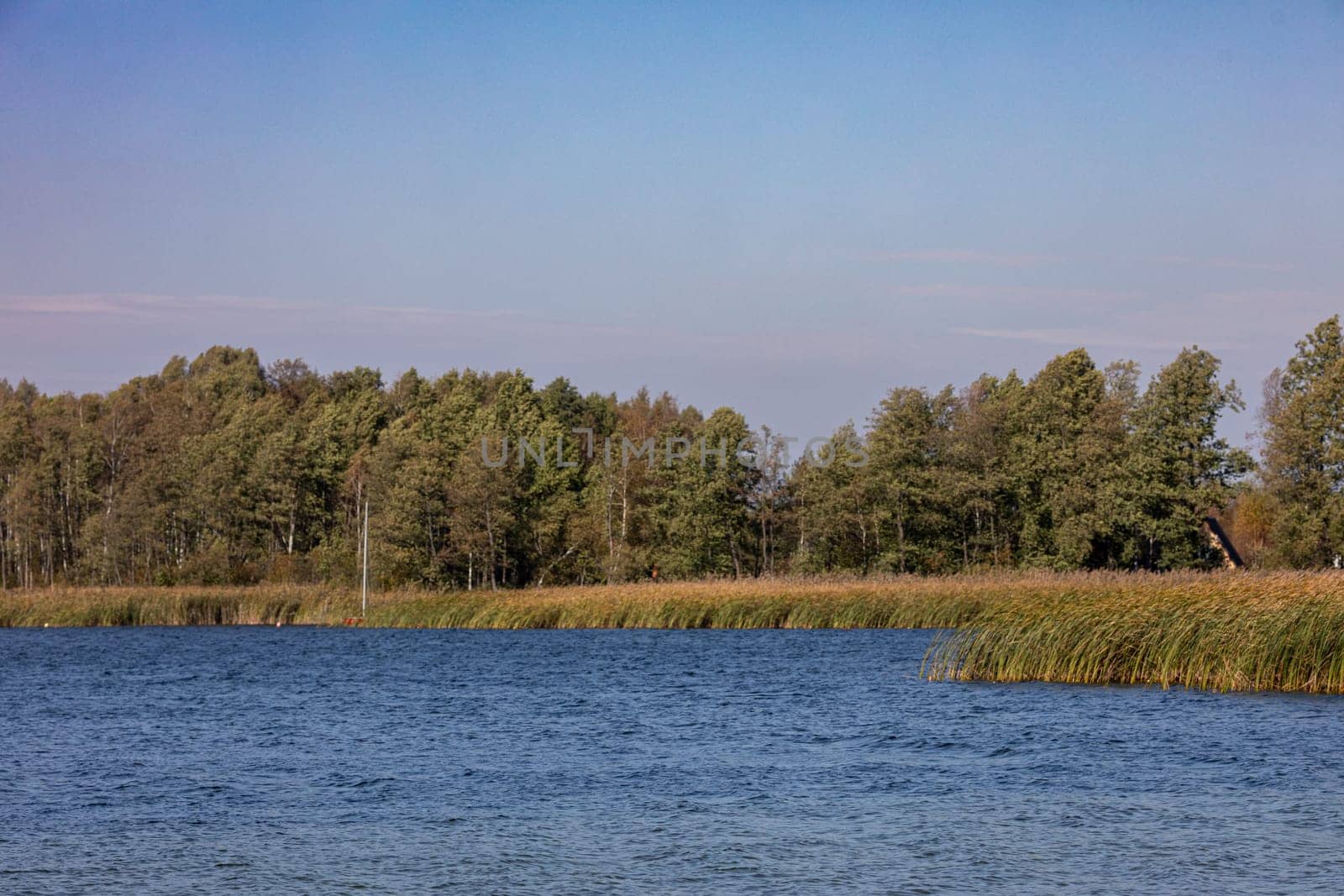 A tranquil scene showcases a picturesque lake embraced by vibrant, lush trees and a perfectly clear blue sky