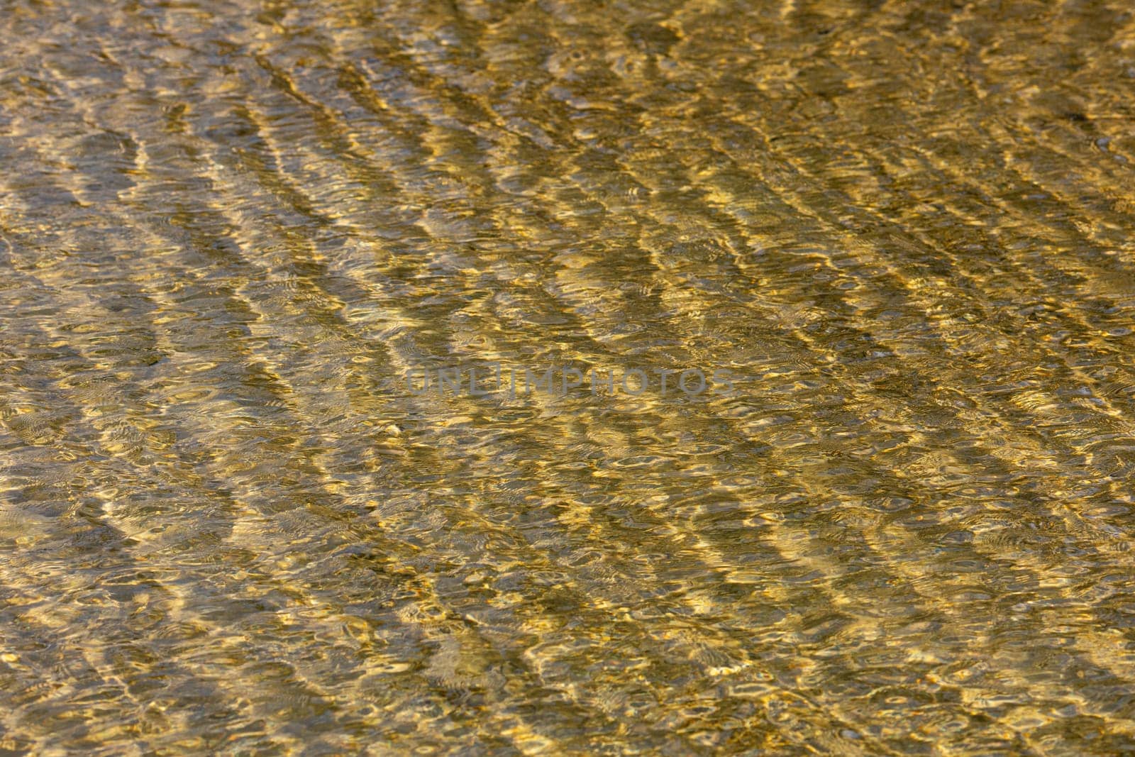 A serene view of tranquil water reflecting golden tones with subtle ripples, ideal for naturethemed scenes