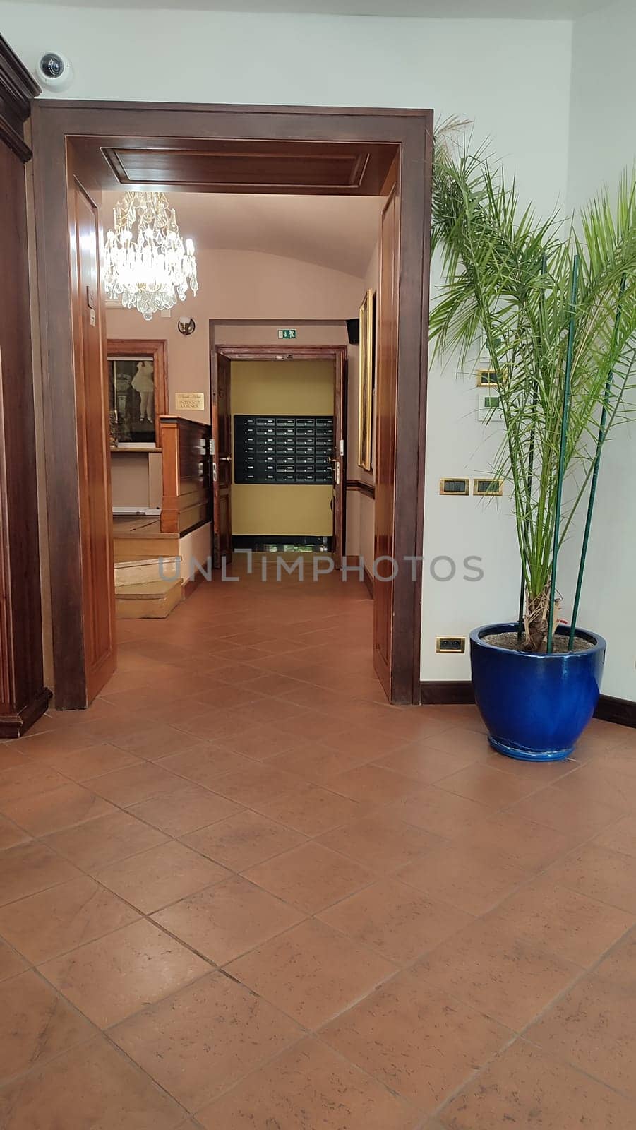 October 15 2024 Prague Czech Republic Europe Lobby plants chandelier. High quality photo