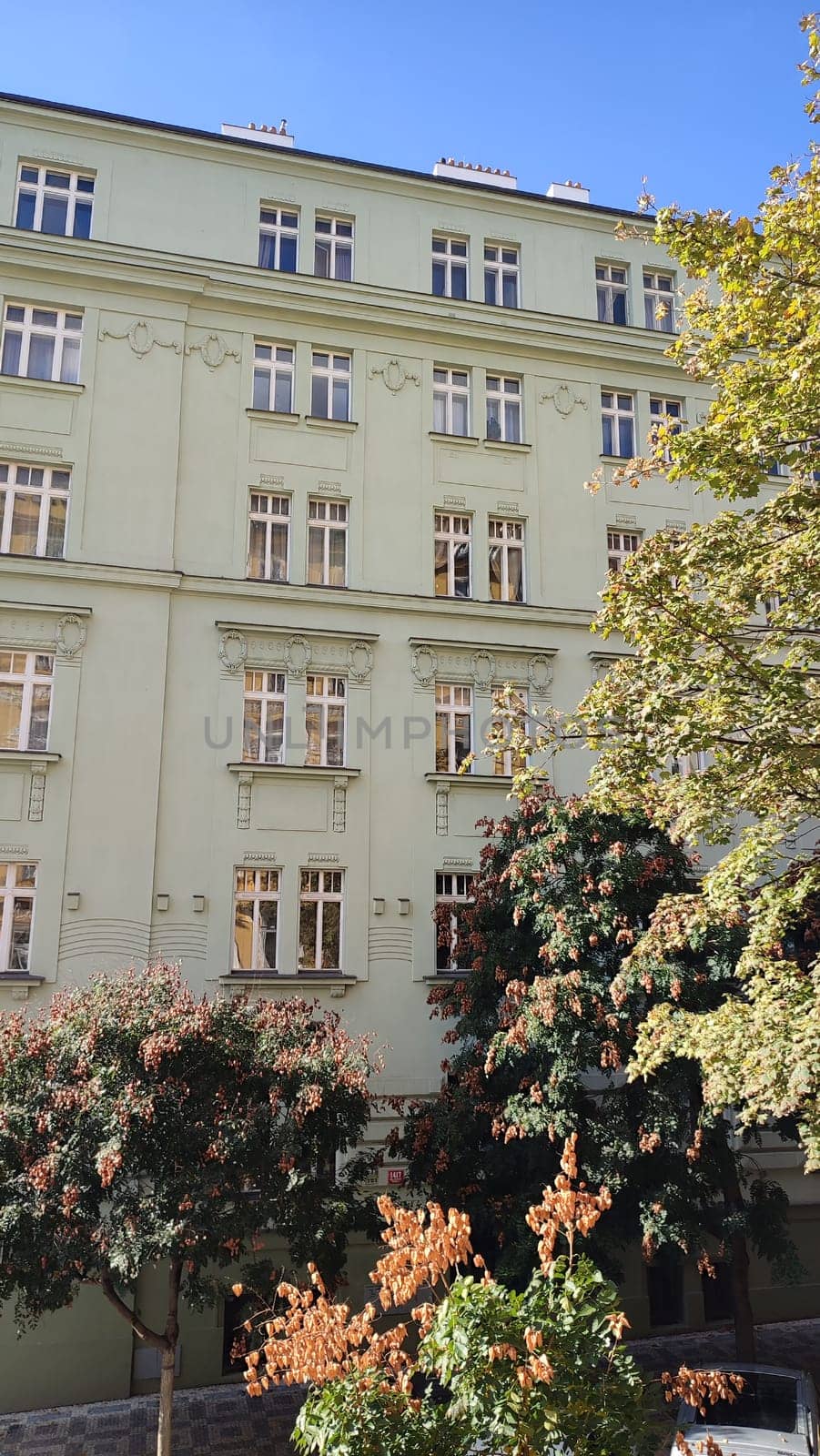 Green building exterior city street outdoor trees architecture windows spring summer day Prague Czech Republic Europe travel places . High quality photo nature wall flowers