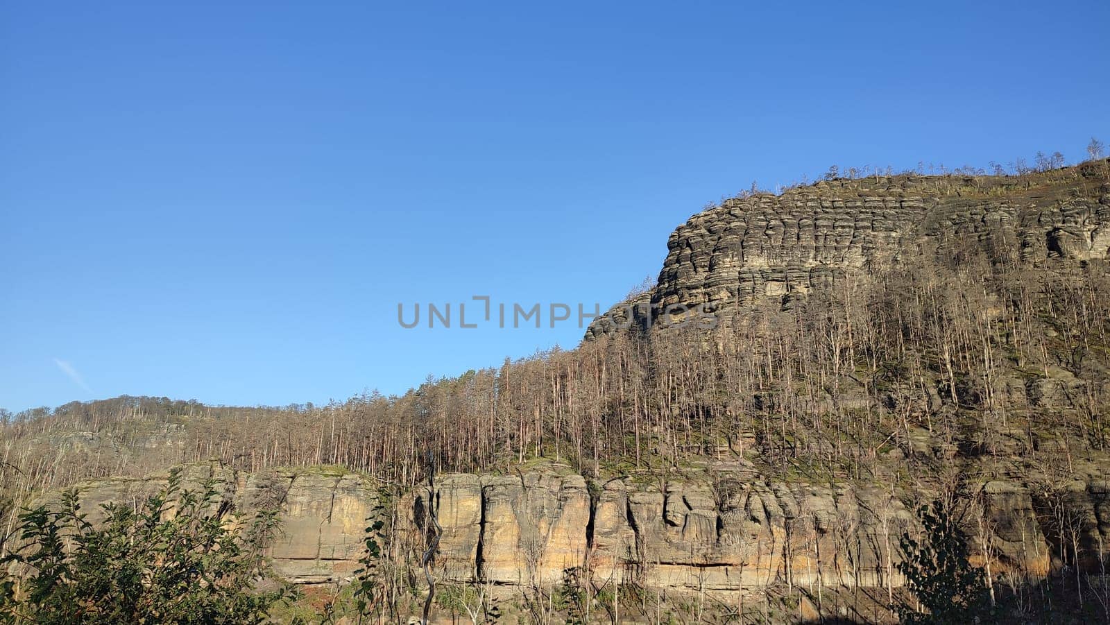 Cliffside clear sky landscape background trees summer nature travel tourism Europe rocks . High quality photo