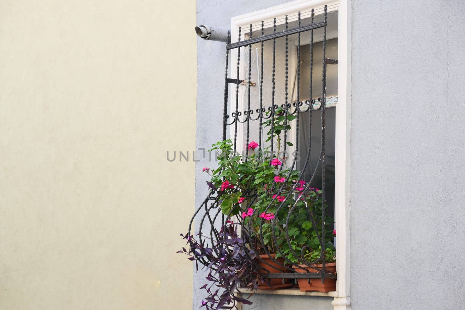 Vibrant flowers and green plants spill from a window box in a city.