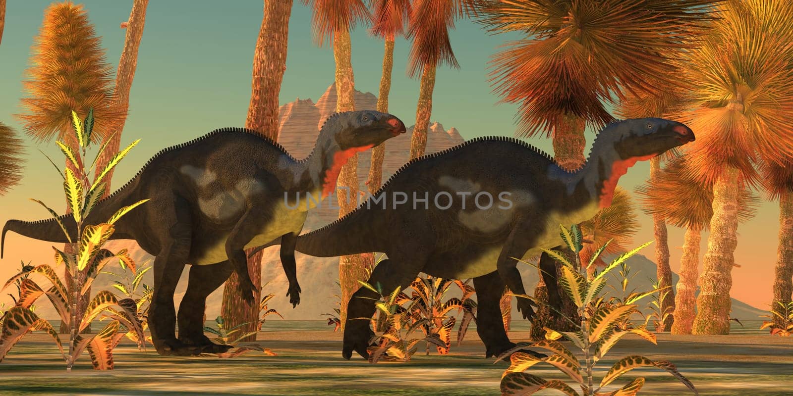 Two Camptosaurus dinosaurs wander through a prehistoric jungle environment of western North America.