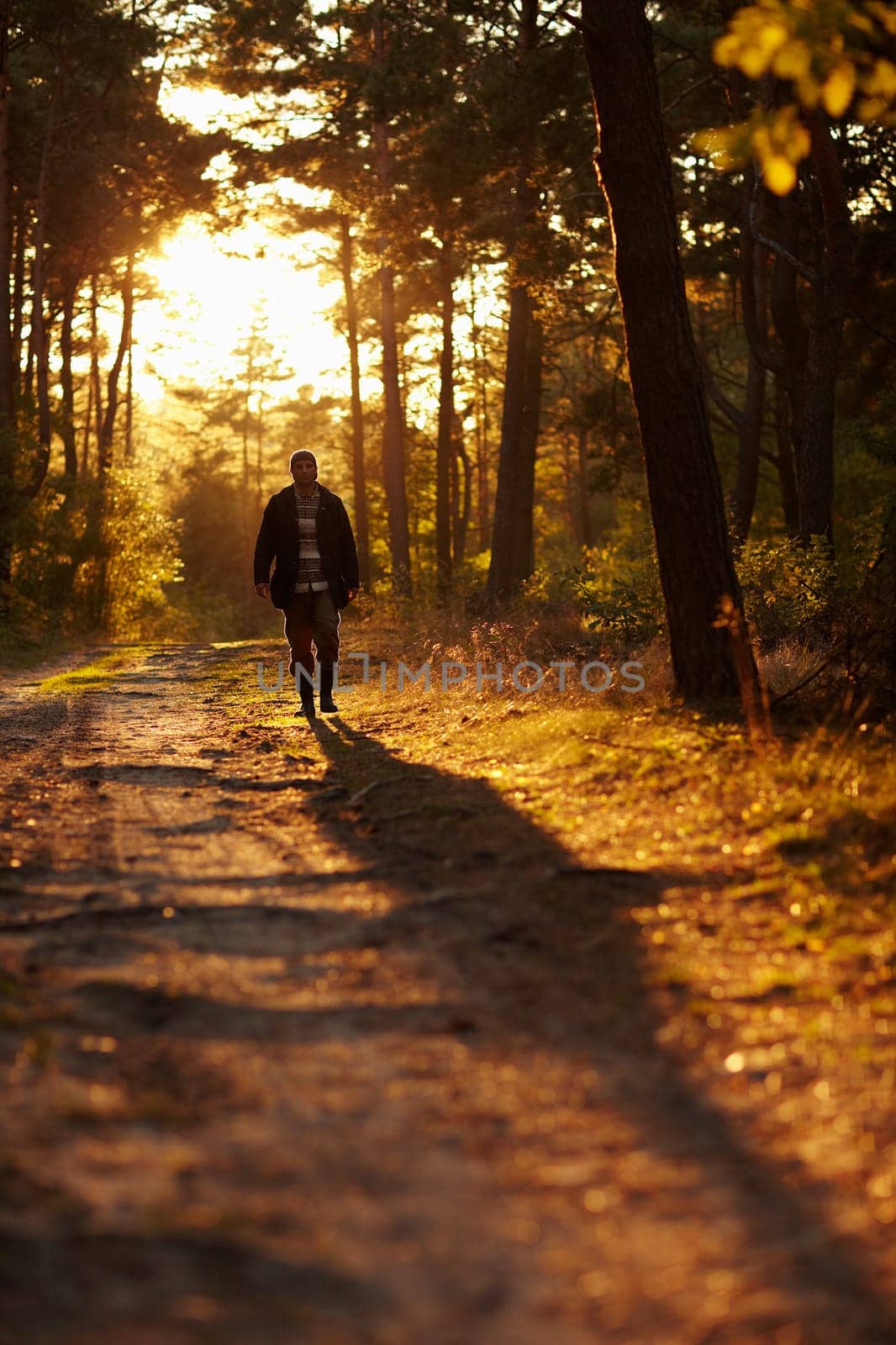Early morning shot of a young man walking through woodland