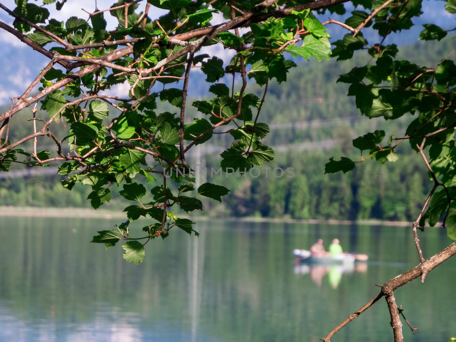 A single unsharply depicted rowing boat on the Lake Weissensee framed by branches and leaves. Focus is on the leaves in the foreground.
