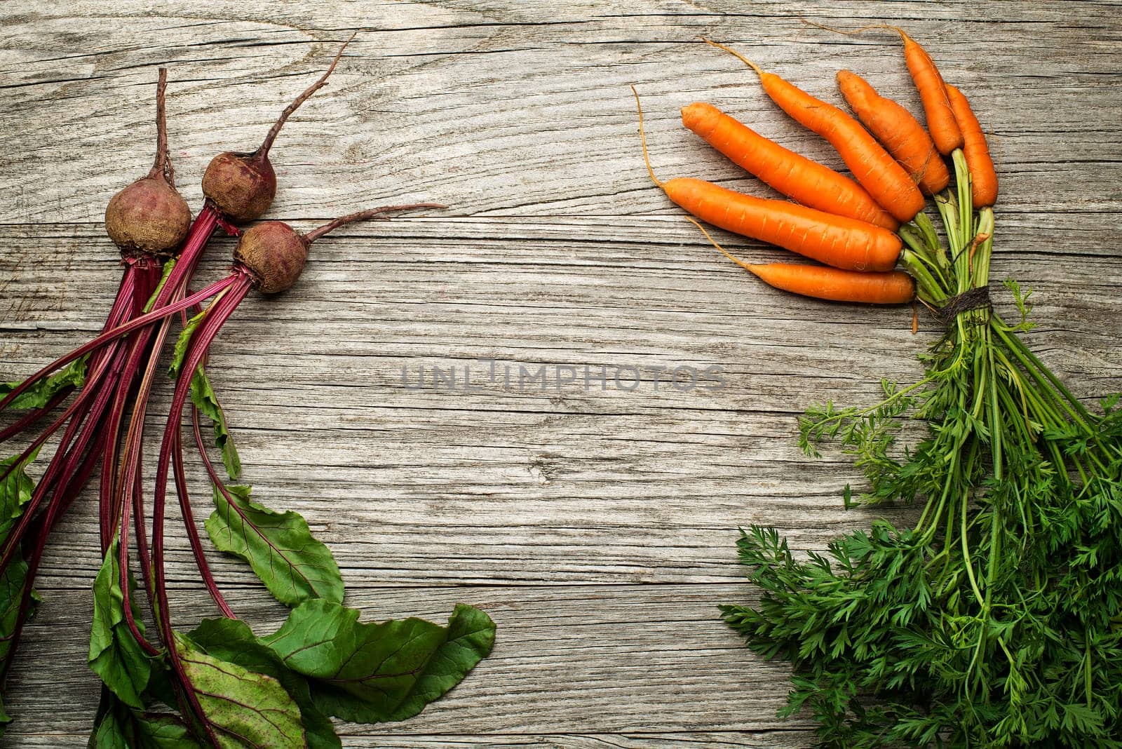 Fresh vegetables of carrots and red beets on wooden background