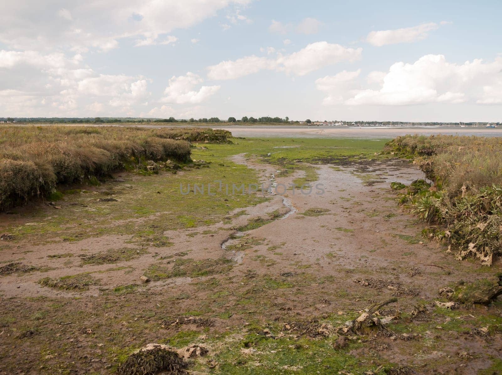 mud flat texture of earth landscape Maldon black water Essex  England  UK