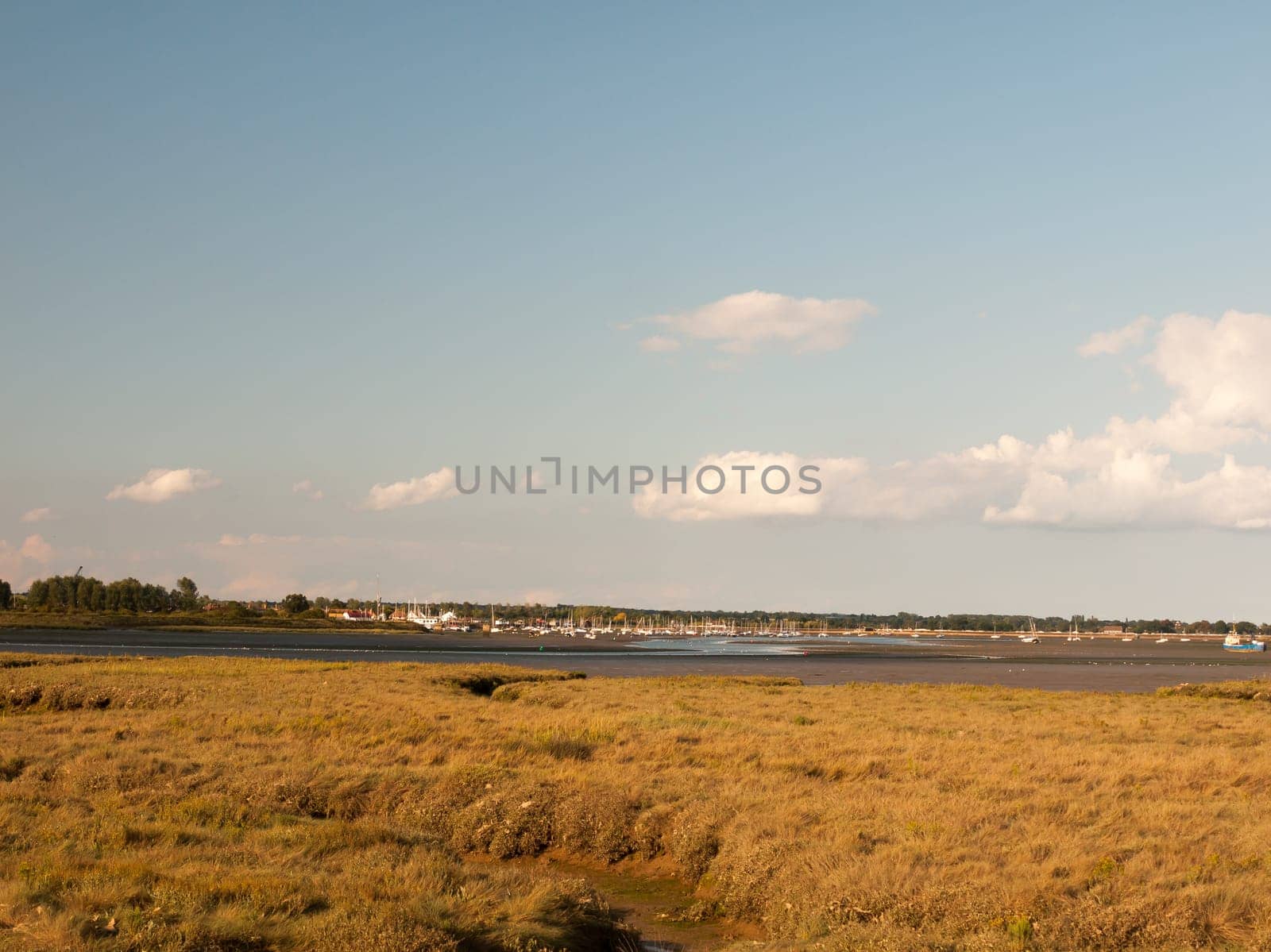 sunny landscape of flat ground and maldon black water in the distance with masts of moored boats Essex  England  UK