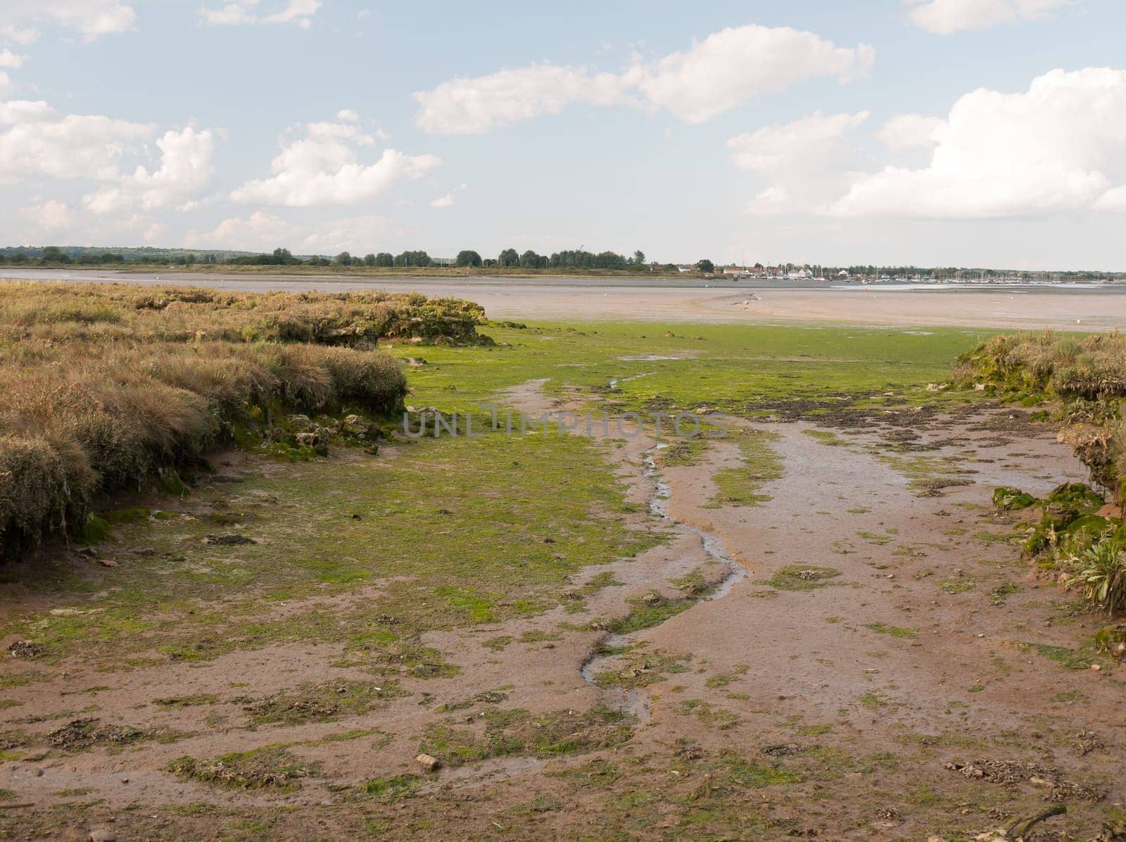 mud flat texture of earth landscape Maldon black water Essex  England  UK