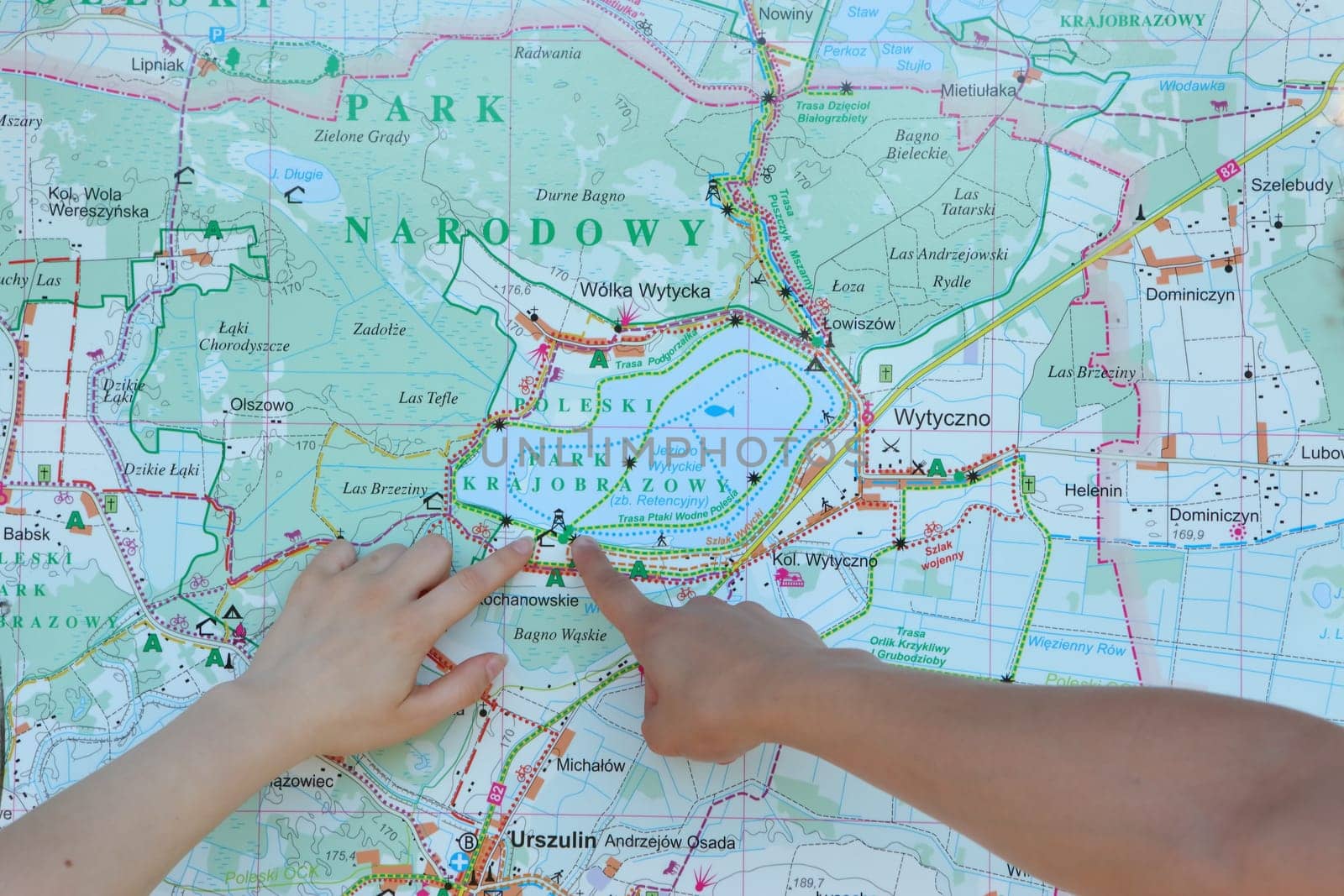 A close-up view of hands pointing at a detailed map of a national park, showcasing exploration and adventure.