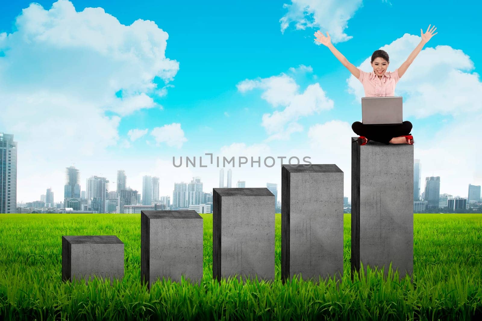 Business woman typing with laptop on the top of the chart. Business success concept