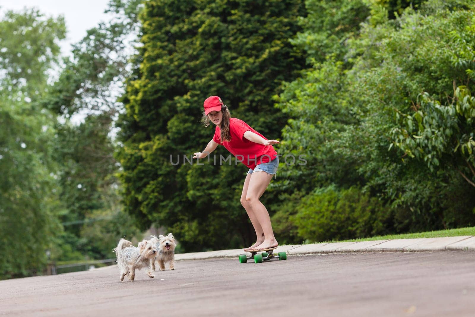 Girls skateboarding home driveway with dogs