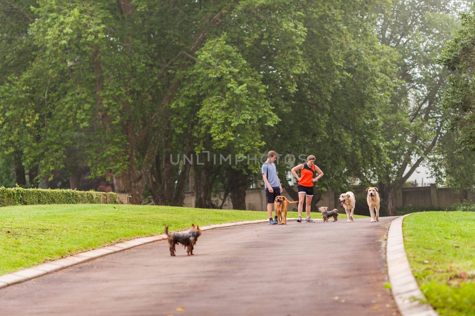 Teen boy girl warm down after fitness exercise  run on home driveway with dogs