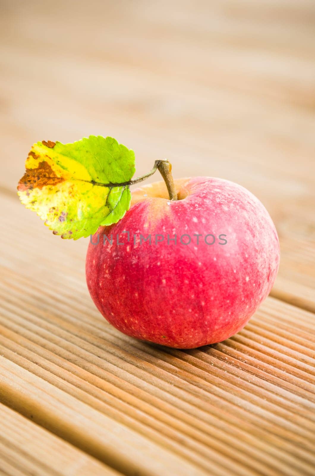 Ripe red apple with a leaf on a blackboard, close-up