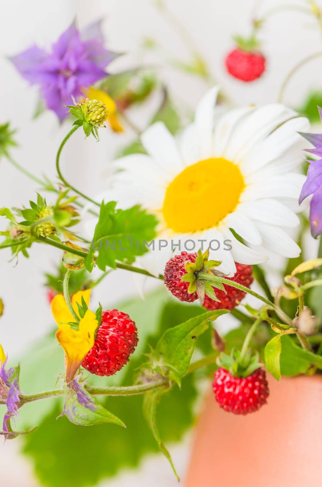 Summer bouquet of forest flowers and strawberries